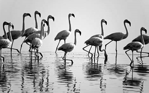 哲學在企業(yè)經營中的(de)應用(yòng)方法