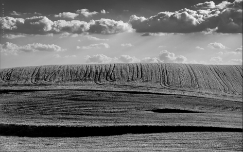 企業(yè)如(rú)何處理(lǐ)多(duō)元文(wén)化(huà)沖突下(xià)感性的(de)失張？